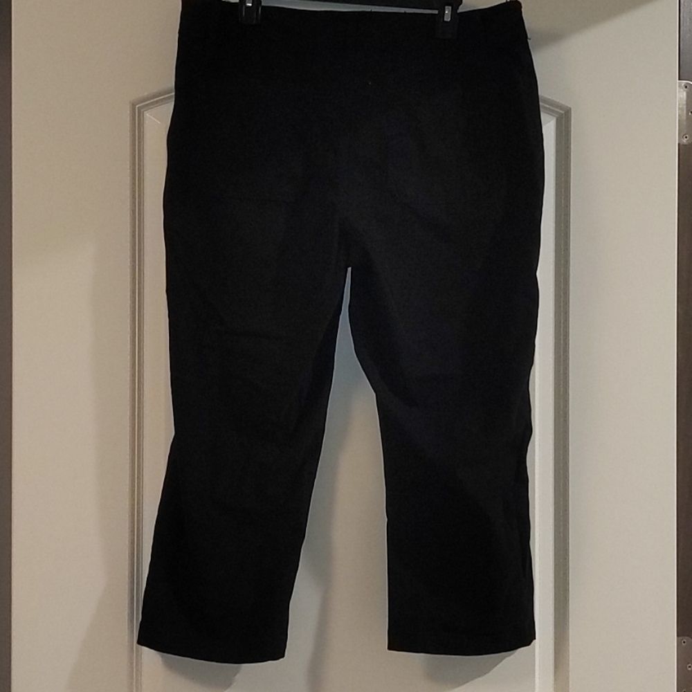 Dictionary Cropped Pants View 4